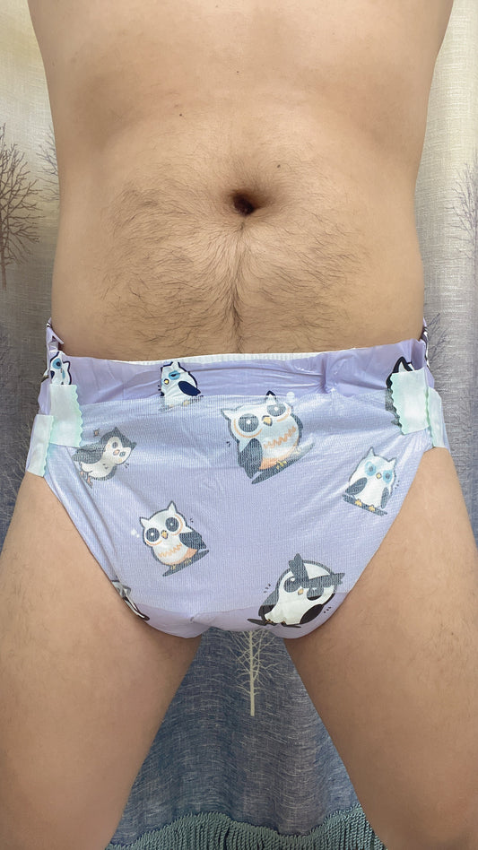 Owl V2